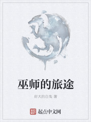 巫师的征途是星辰大海