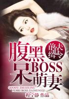 前夫追缉令:腹黑boss呆萌妻子