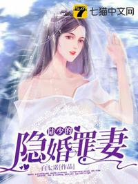 陆少的隐婚罪妻第92集免费阅读