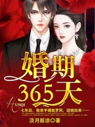 婚期365天内容简介