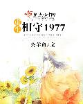 重生1977全文免费阅读