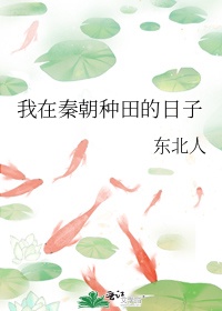 秦时纷争芈月装备