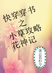 作者寀小花攻略系统