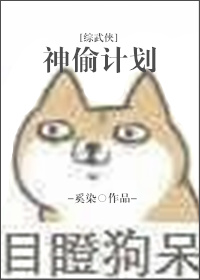 主角是神偷的武侠小说名字