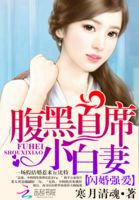 闪婚契约:陆先生