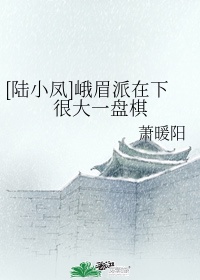 陆小凤与花满楼峨眉师太结局