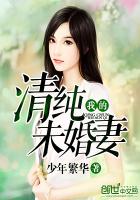 我的未婚妻是修真者 小说