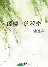 《阁楼里的秘密》梗概作文