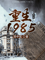 重生1985东北往事百度网盘