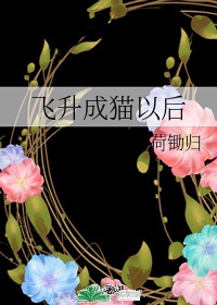 师尊飞升以后夜沙灯