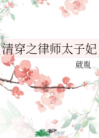 石婧瑜胤礽清穿之律师太子妃