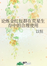 炼金师碎片