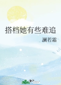 搭档是什么