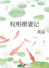 权相的宠妻日常在线阅读小说