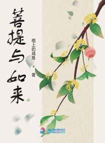 菩提和菩提树是什么关系