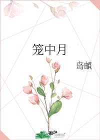 小说《笼中月》