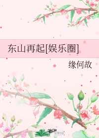 东山再起娱乐圈讲的什么