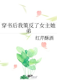 小说穿书后我策反了女主她弟姐