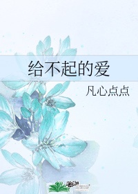 给不起的爱歌曲歌词