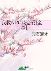 npc的全称