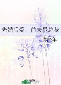 先婚后爱:前夫是总裁 许经年