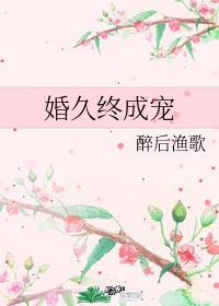 婚久终成宠小说晋江