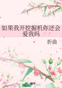 如果我开挖掘机你还会爱我嘛