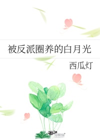 第二部《被反派圈养的白月光》作者:西瓜灯