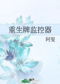 无线监控哪款好