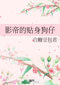 影帝的宠妻全文免费txt