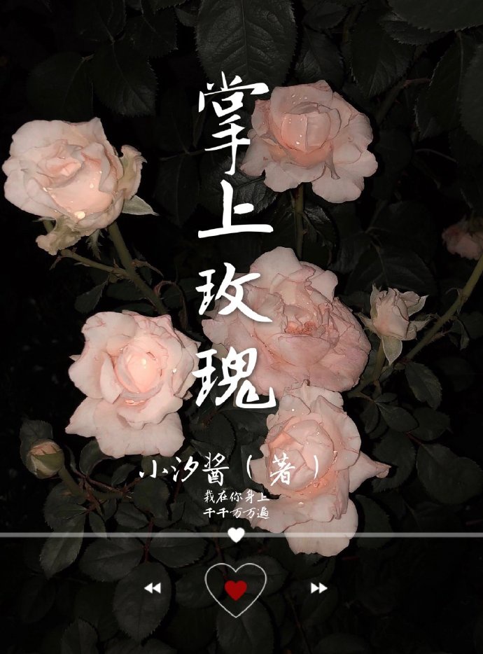 栀子花 玫瑰花 歌曲