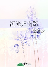 沉光归南路epub