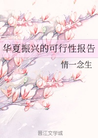 华夏兴华混合基金怎么样