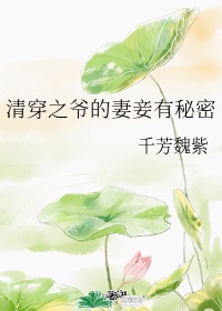 《清穿之爷的妻妾有秘密》