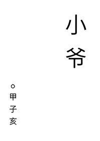 小爷我裙子贼多全多少字