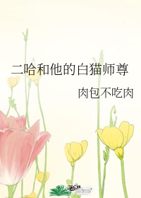 小说二哈和他的白猫师尊全文免费阅读