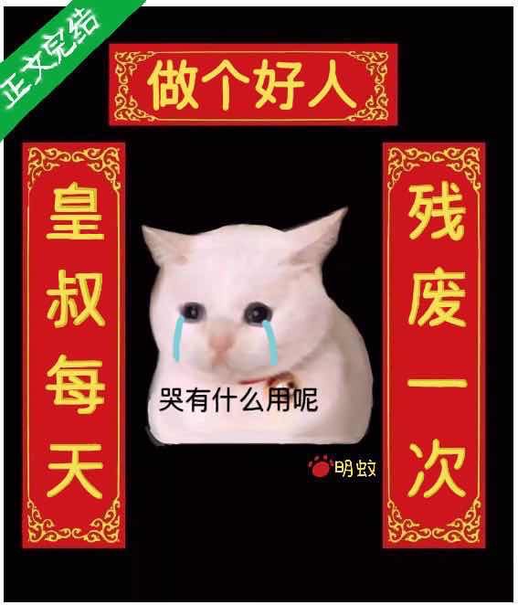 皇叔每晚梦我看书小说