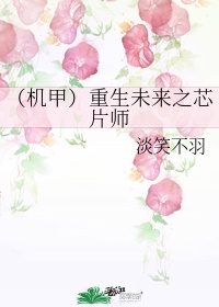 重生未来之芯片师免费阅读小说