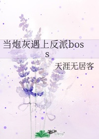 当炮灰遇上反派boss类似文