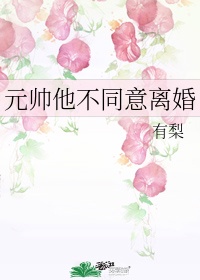 元帅他不同意离婚by山有瓜兮