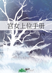 宫女上位手册vn