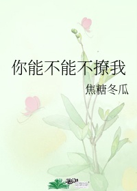 你能不能不撩我27章