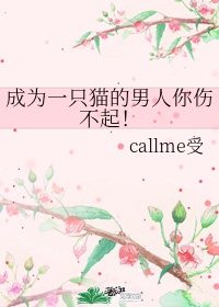 成为一只猫的男人你伤不起 callme受