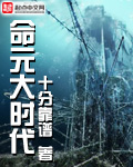 三国大时代4破解版无狄八哥版