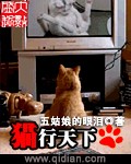 猫吧 心行天下