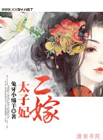 二嫁王妃结局